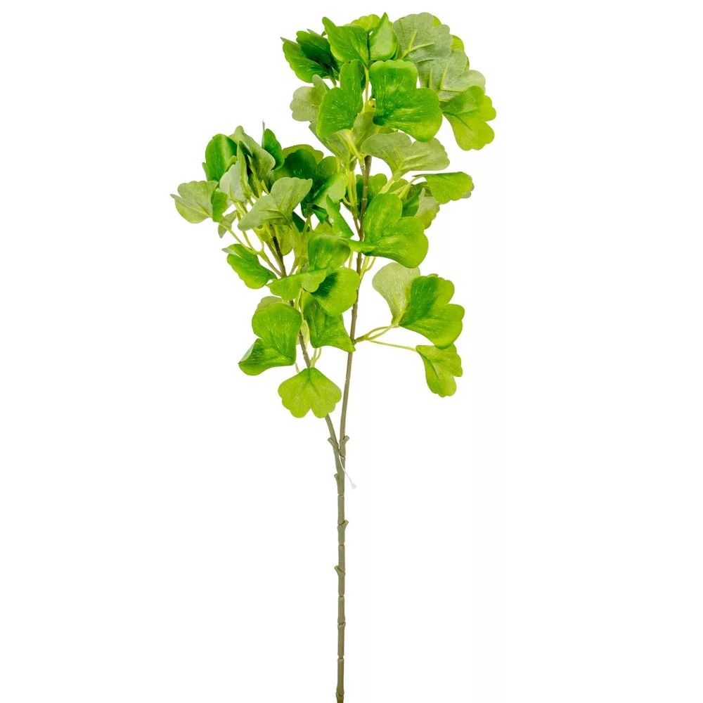 Ginko biloba ág M62cm