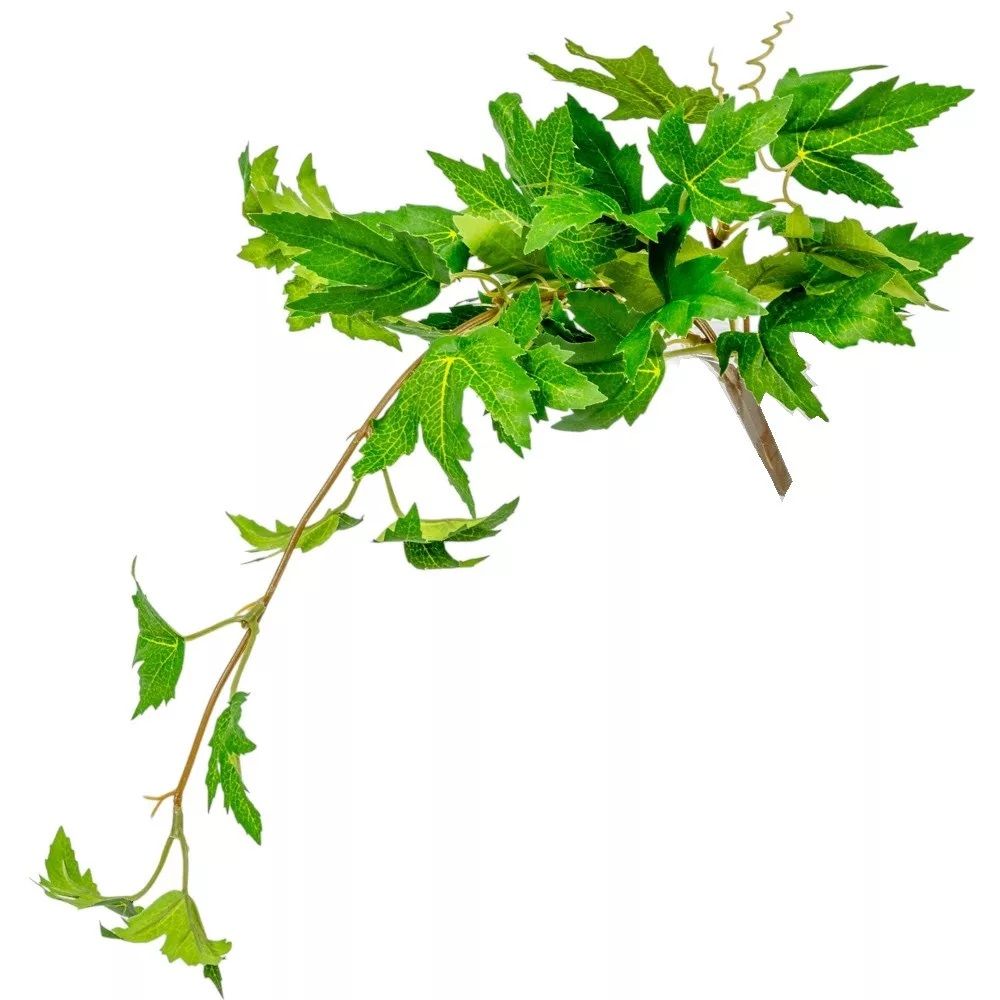Szőlő leveles futó 40cm - 2 féle Szőlő leveles futó 40cm - 2 féle
