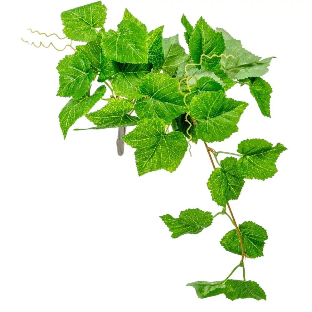Szőlő leveles futó 40cm - 2 féle Szőlő leveles futó 40cm - 2 féle