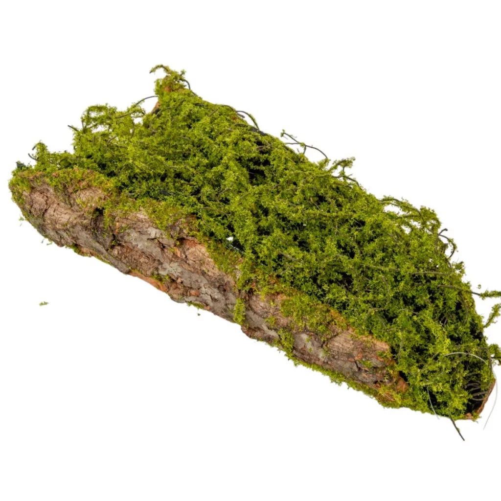 Fa kéregben moha - 2 méretben Fa kéregben moha - 2 méretben