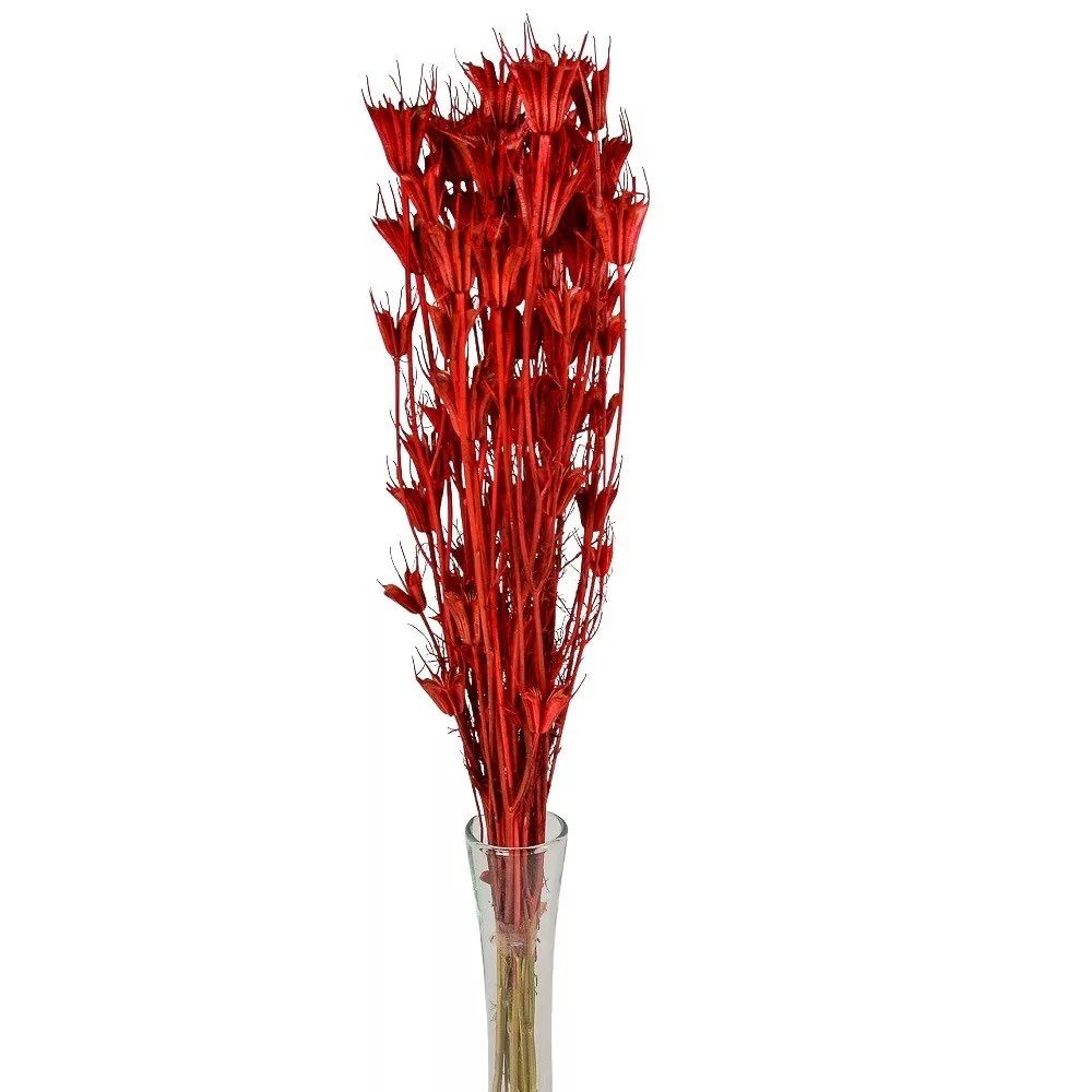 Nigella orientale szárított - Több színben Nigella orientale szárított - Több színben