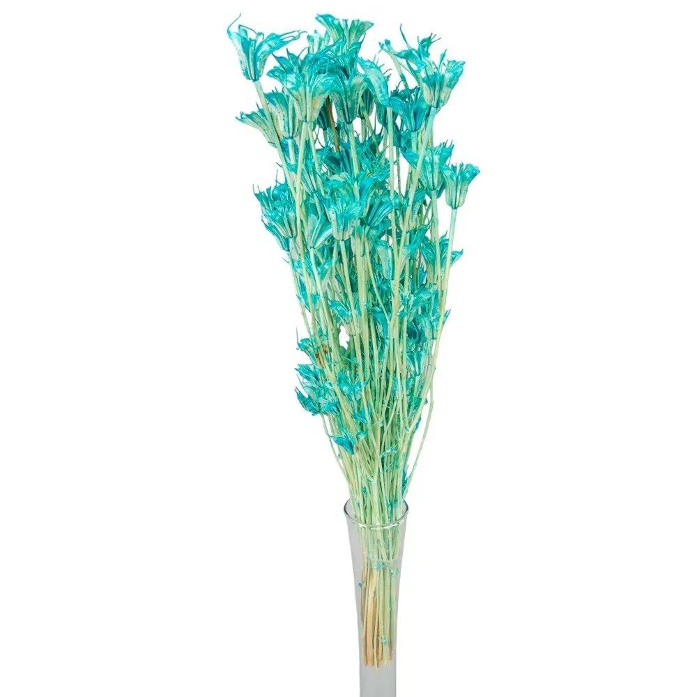 Nigella orientale szárított - Több színben Nigella orientale szárított - Több színben