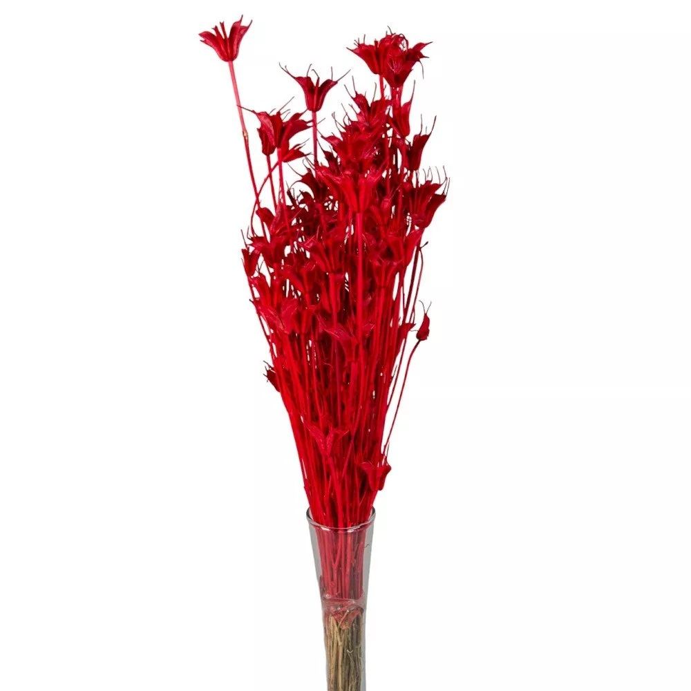Nigella orientale szárított - Több színben Nigella orientale szárított - Több színben