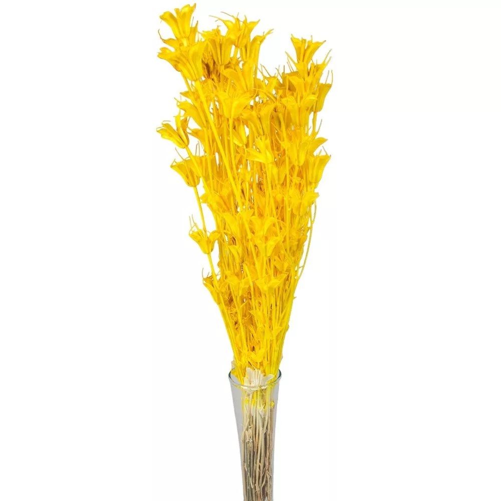 Nigella orientale szárított - Több színben Nigella orientale szárított - Több színben