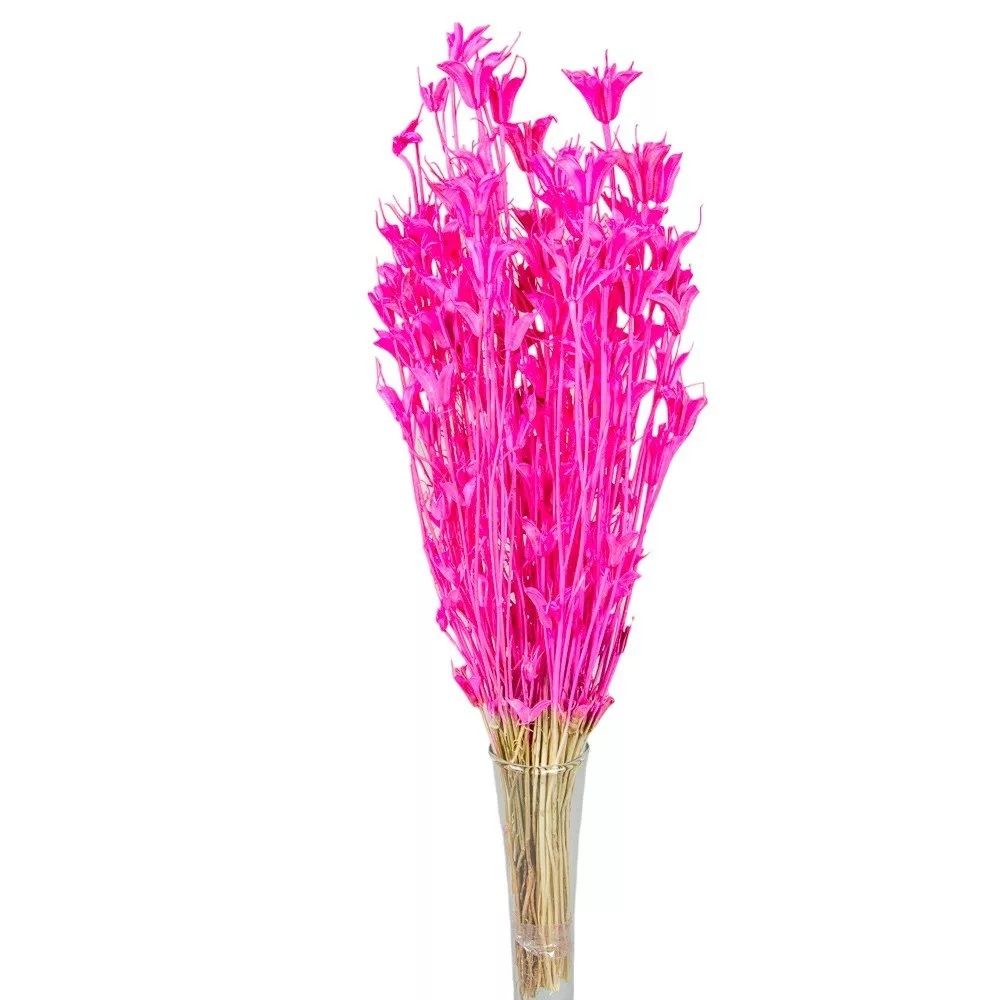 Nigella orientale szárított - Több színben Nigella orientale szárított - Több színben
