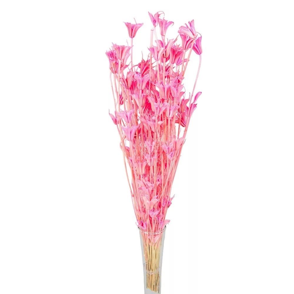 Nigella orientale szárított - Több színben Nigella orientale szárított - Több színben