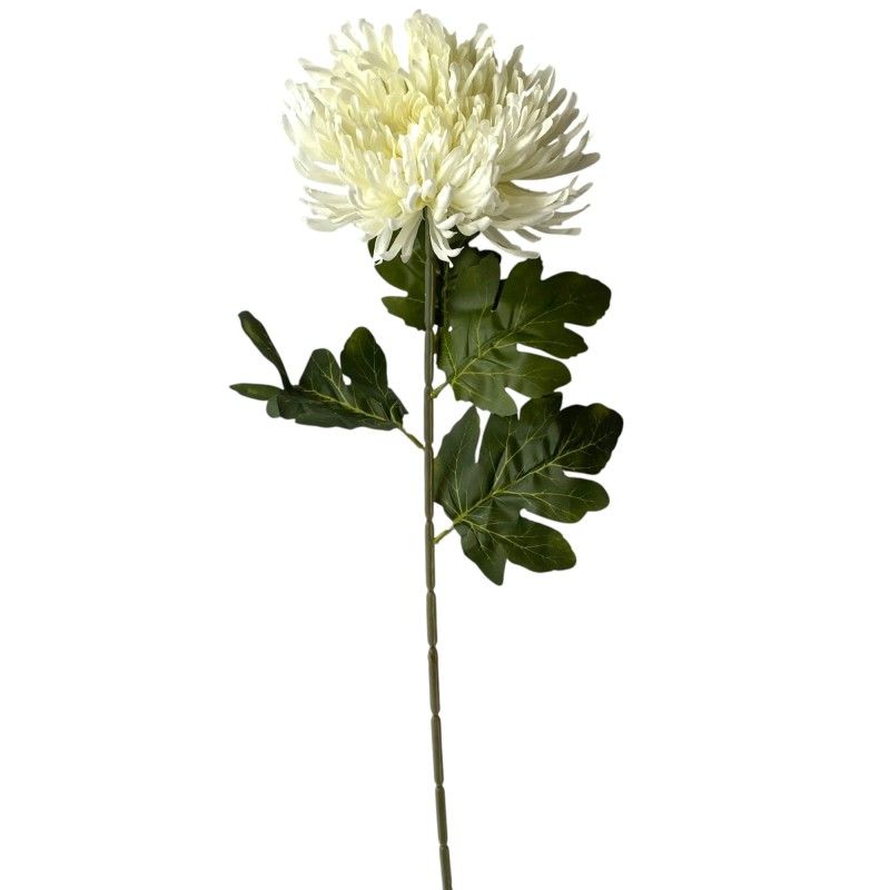 Szálas krizantém 75cm