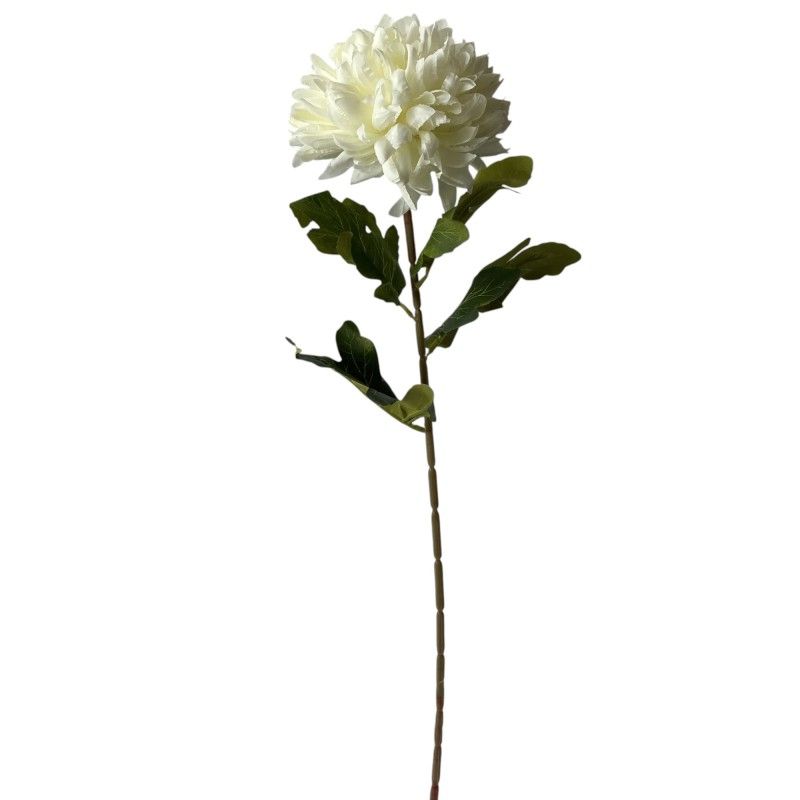 Szálas krizantém 75cm Szálas krizantém 75cm