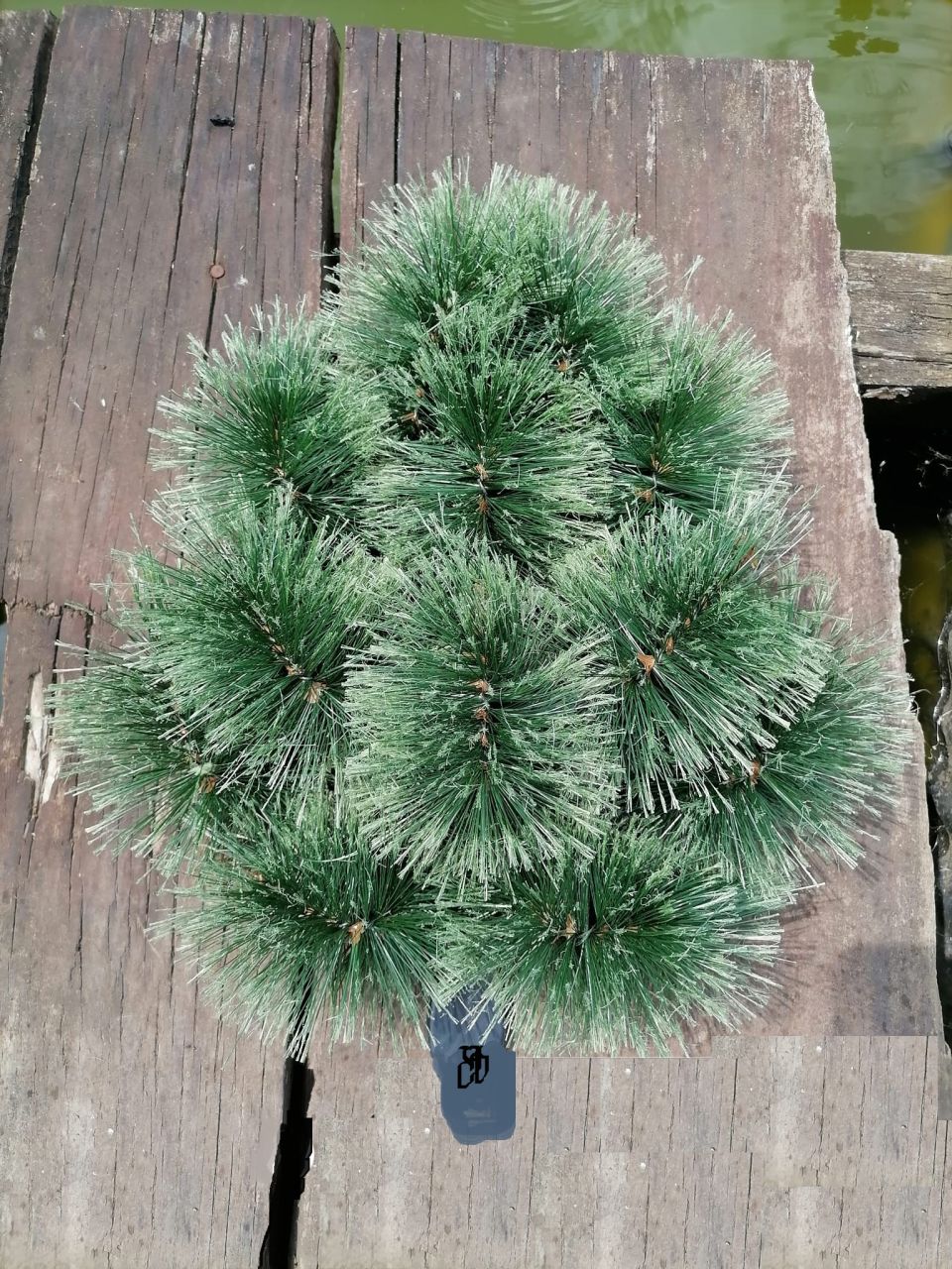 Nyeles brush alap - Több méretben 