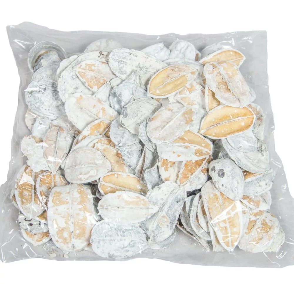 Asa Barata / Őznyelv mini - Több színben