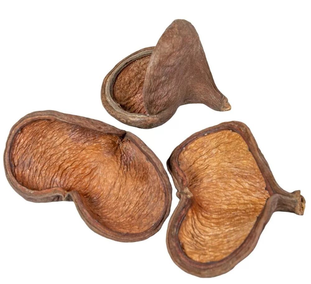 Badam - 2 féle Badam - 2 féle