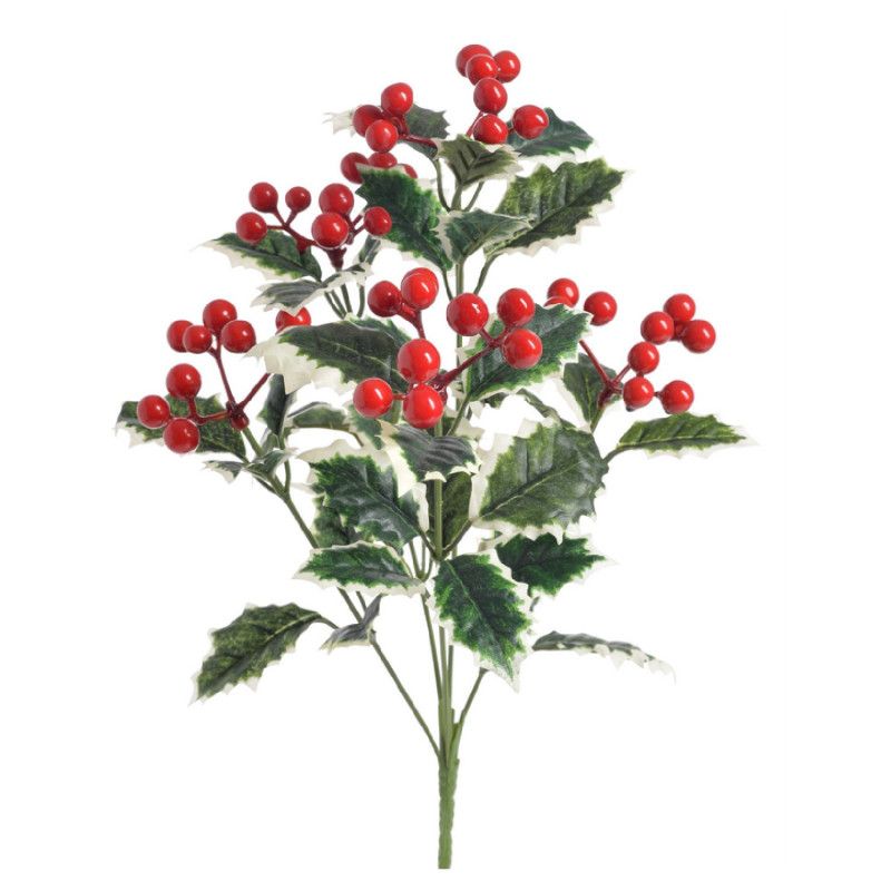 Magyal bokor x5 33cm