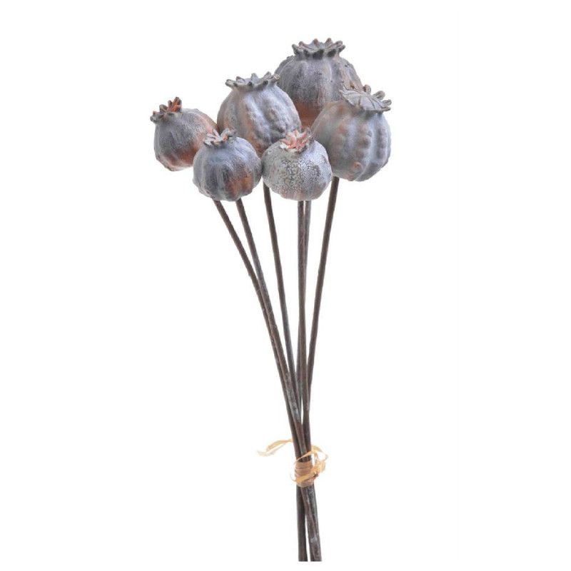 Mák köteg x6 27cm