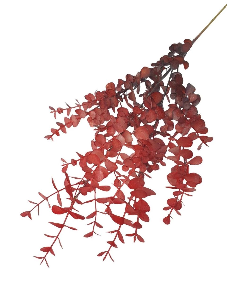 Őszi színátmenetes eukalypthus ág - 5 színben