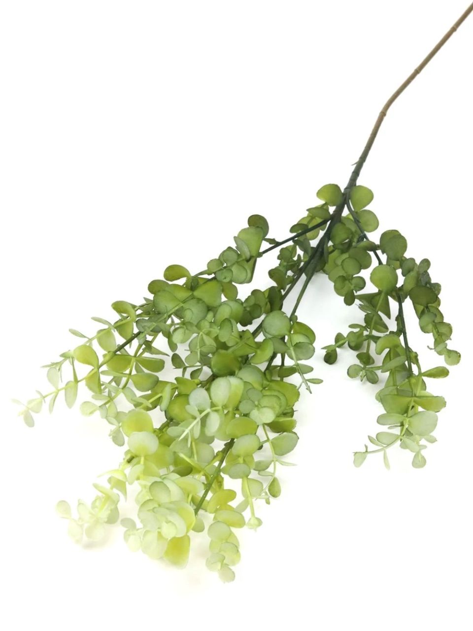 Őszi színátmenetes eukalypthus ág - 5 színben