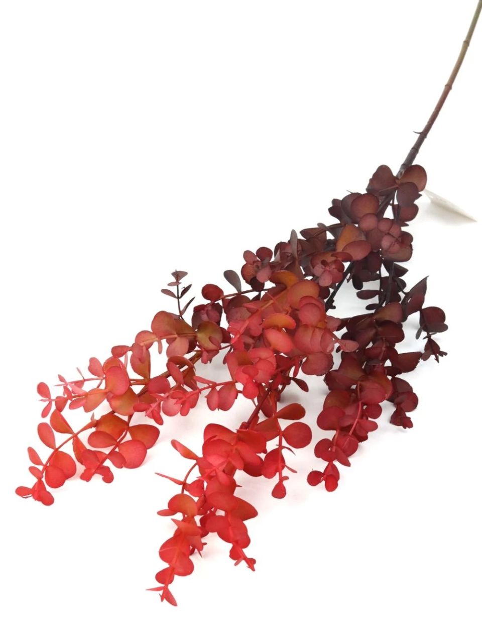 Őszi színátmenetes eukalypthus ág - 5 színben