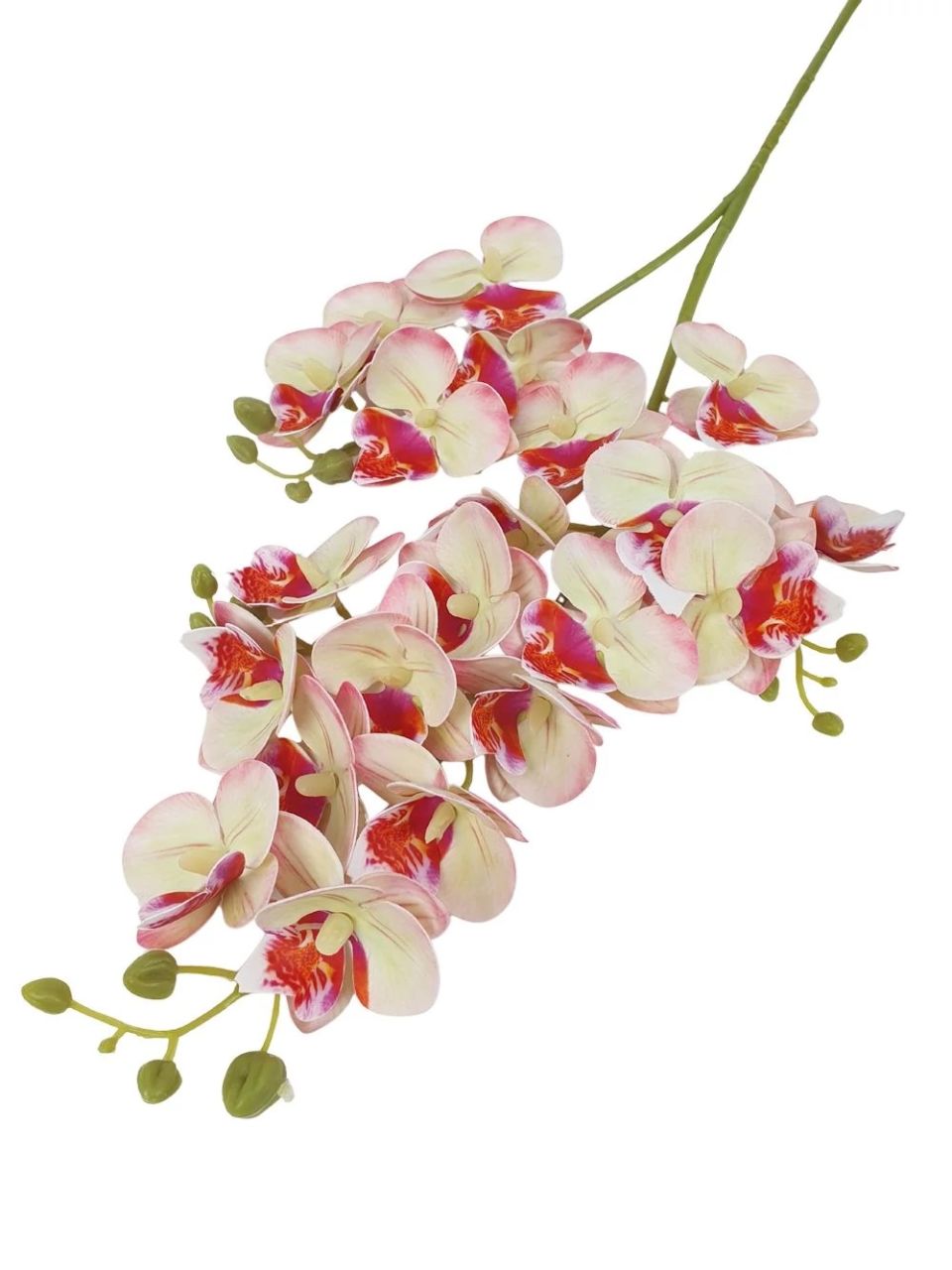 Kicsi virágú phalenopsis ág - 5 színben Kicsi virágú phalenopsis ág - 5 színben