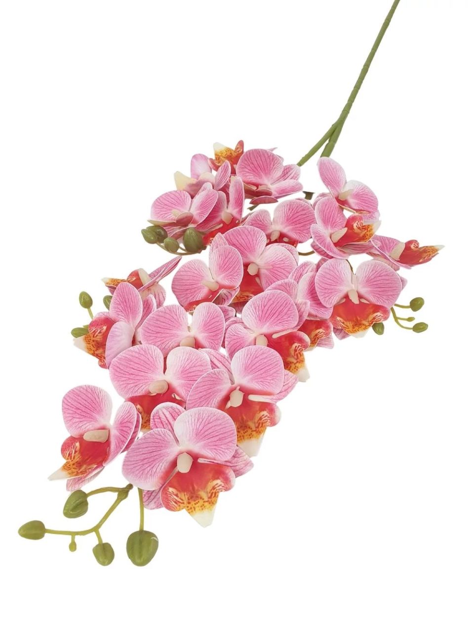 Kicsi virágú phalenopsis ág - 5 színben Kicsi virágú phalenopsis ág - 5 színben