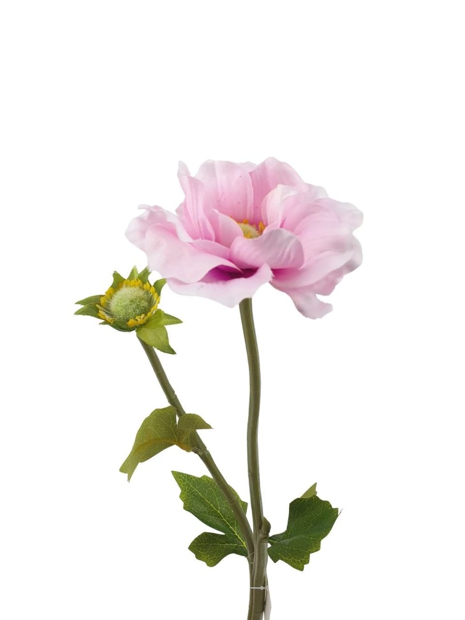 Szálas anemone 2 ágas - 4 színben Szálas anemone 2 ágas - 4 színben
