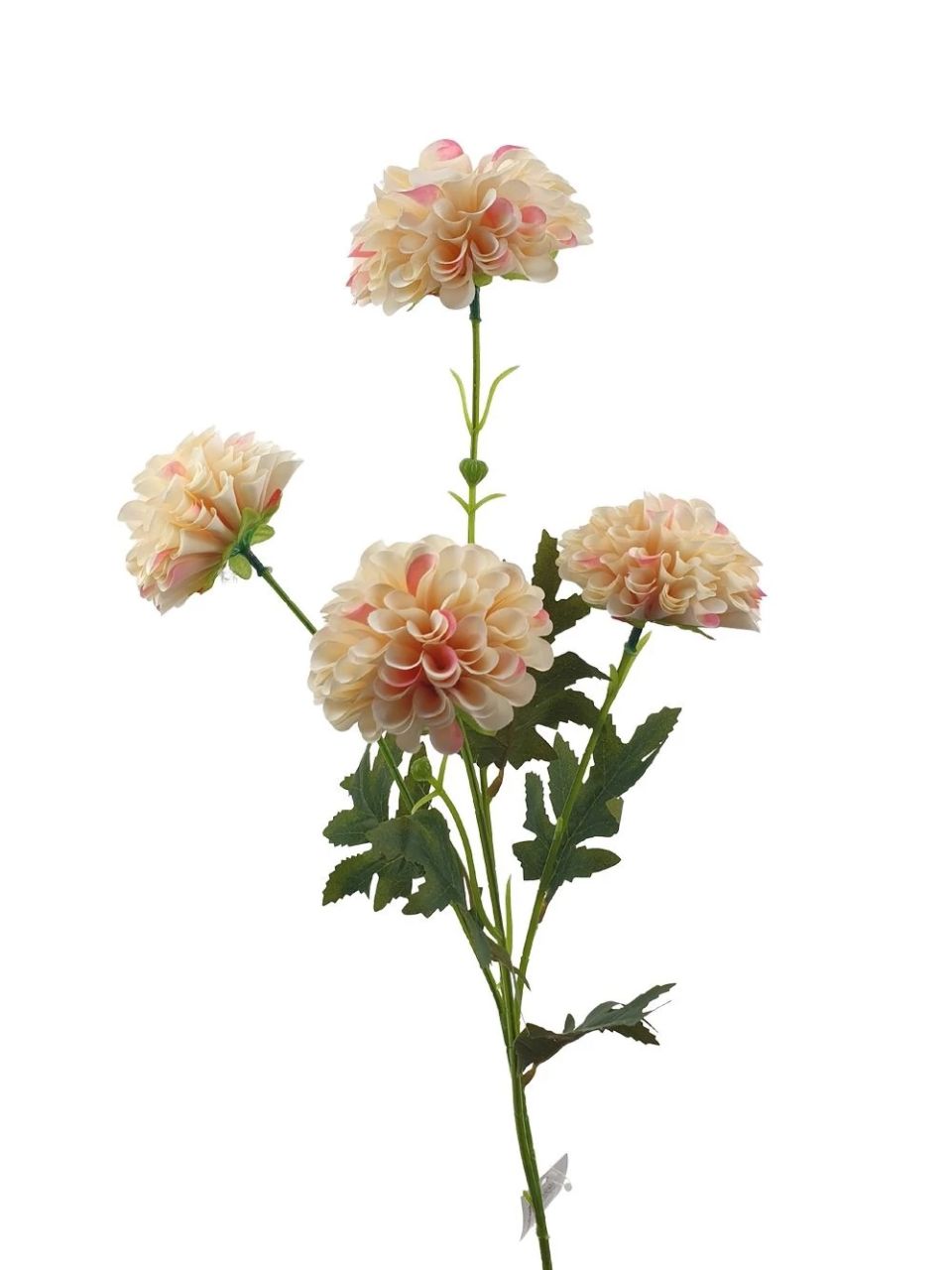 Szálas krizantém 80 cm- 4 színben