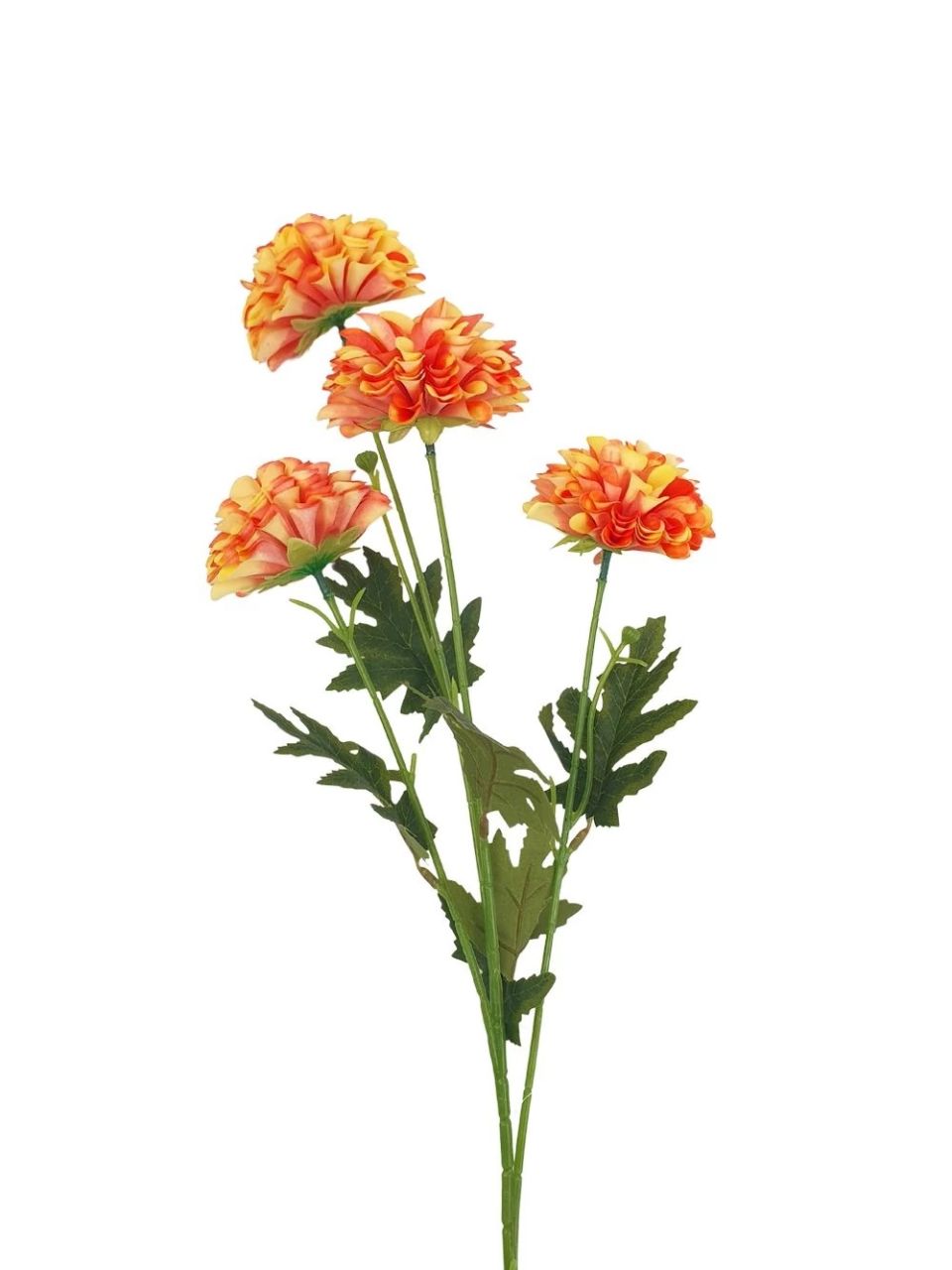 Szálas krizantém 80 cm- 4 színben