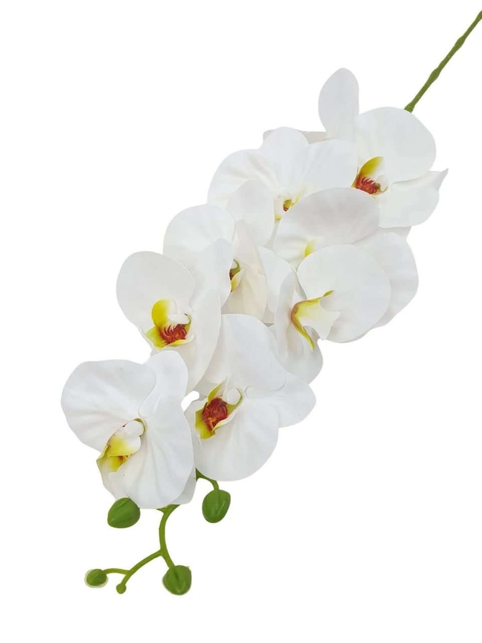 Fodros szirmú phalenopsis ág - 4 színben