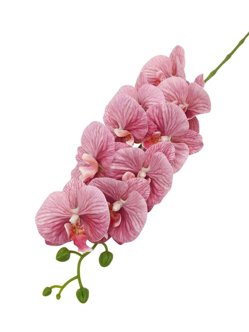 Fodros szirmú phalenopsis ág - 4 színben