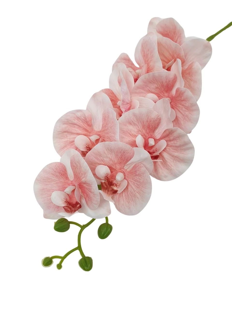 Fodros szirmú phalenopsis ág - 4 színben