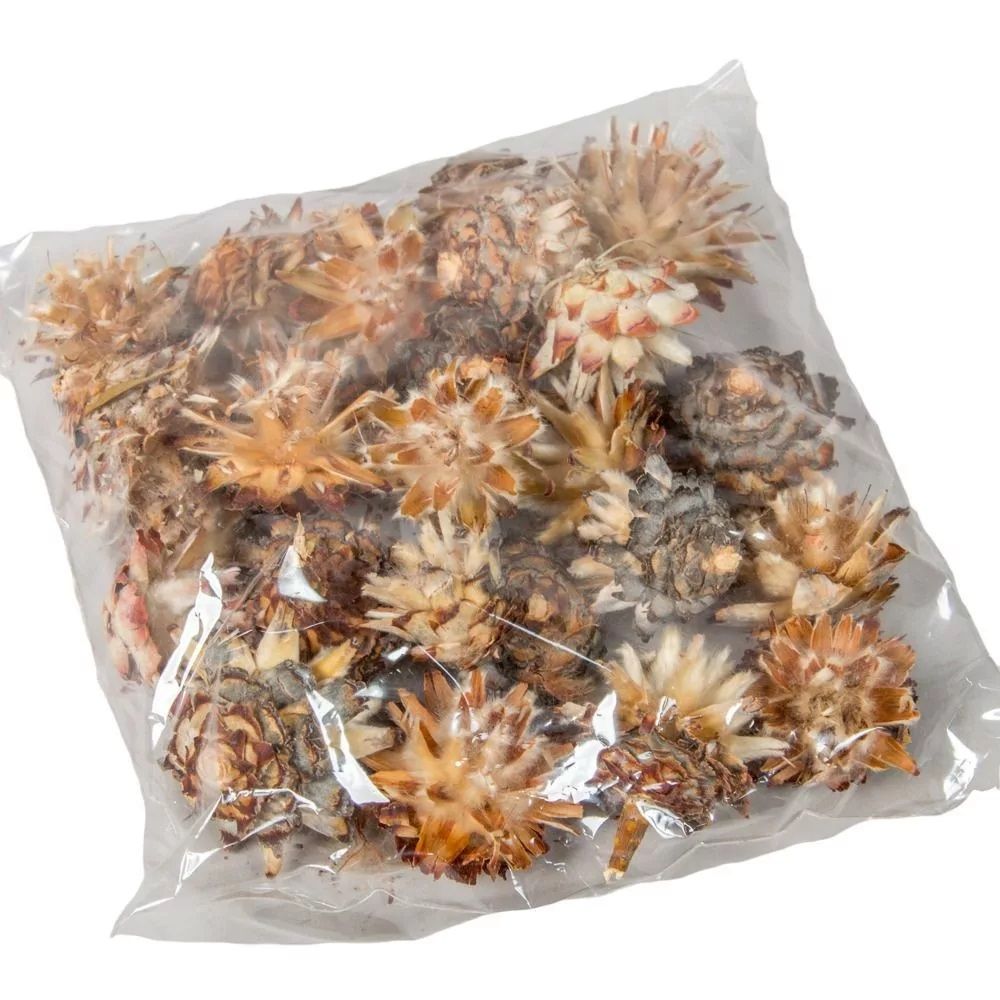 Plumosum fej - Több színben
