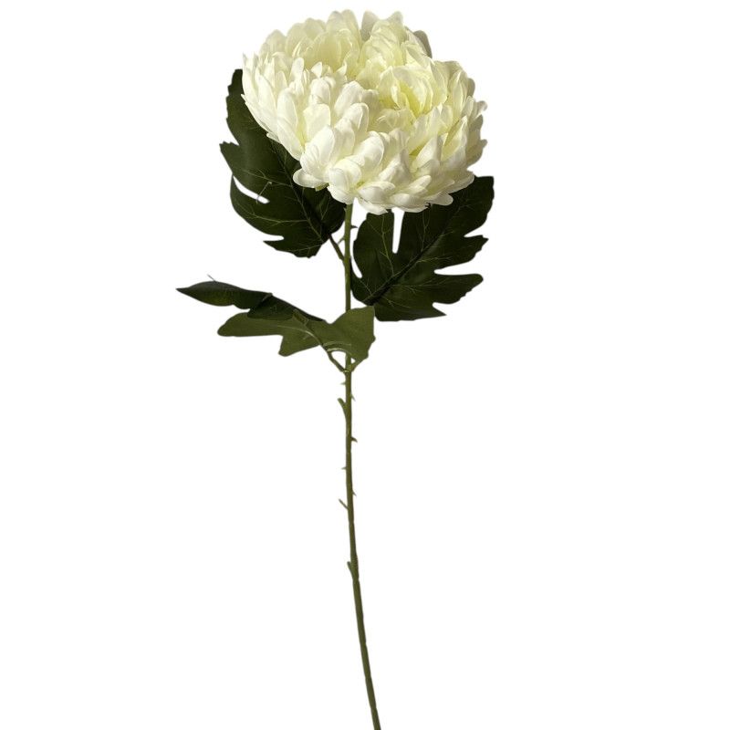 Szálas krizantém 65cm Szálas krizantém 65cm