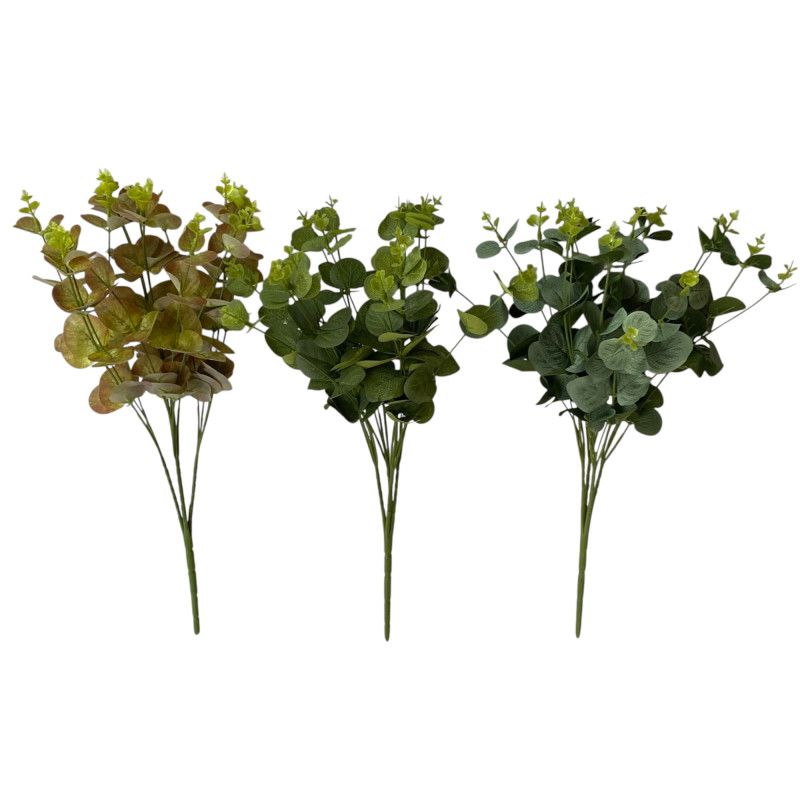 Eukalyptus bokor x4 50cm - 3 színben
