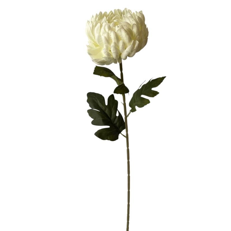 Szálas gömbfejű krizantém 75cm