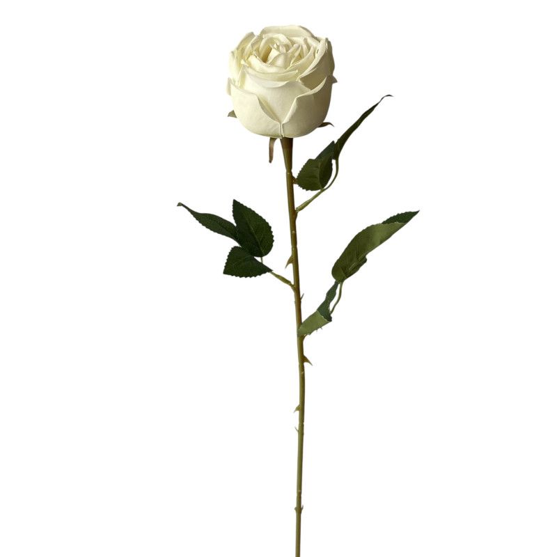 Szálas rózsa 65cm - 3 színben