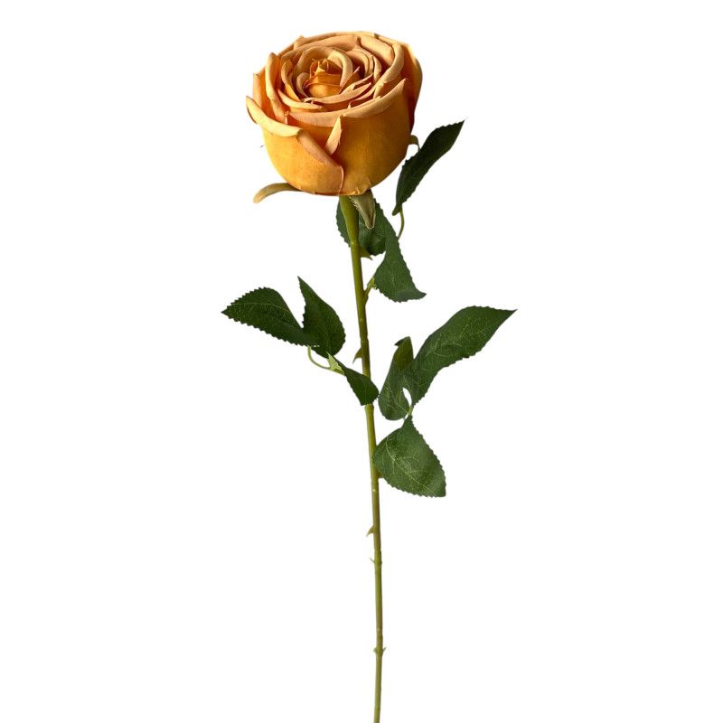 Szálas rózsa 65cm - 3 színben