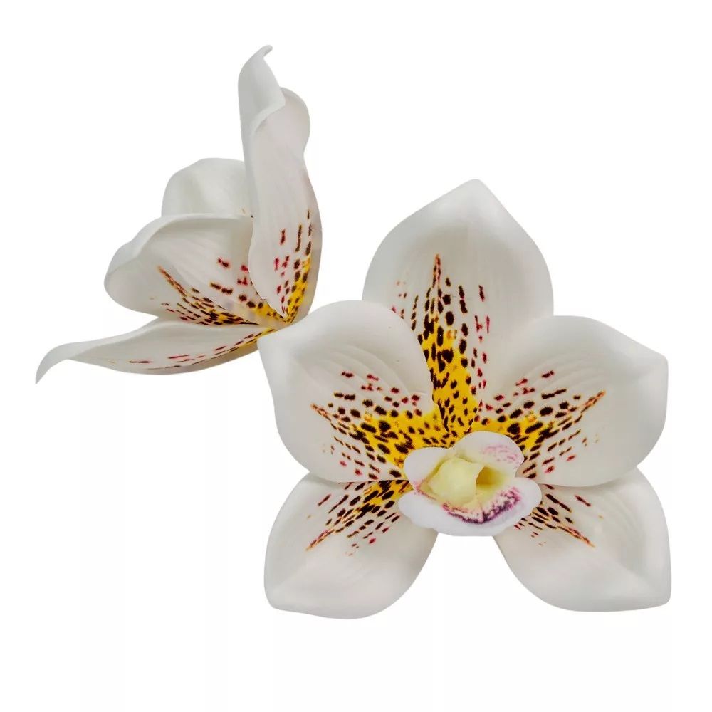 Orchidea virágfej polifoam D10cm 24db/csomag- Több féle