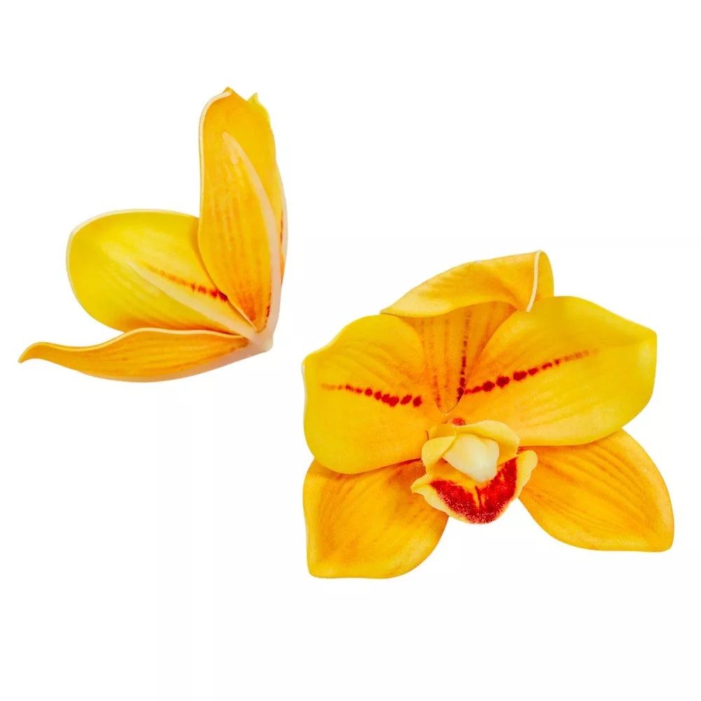 Orchidea virágfej polifoam D10cm 24db/csomag- Több féle