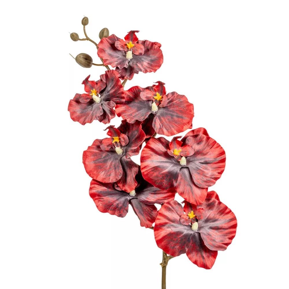 Orchidea szálas M95cm- 4 színben