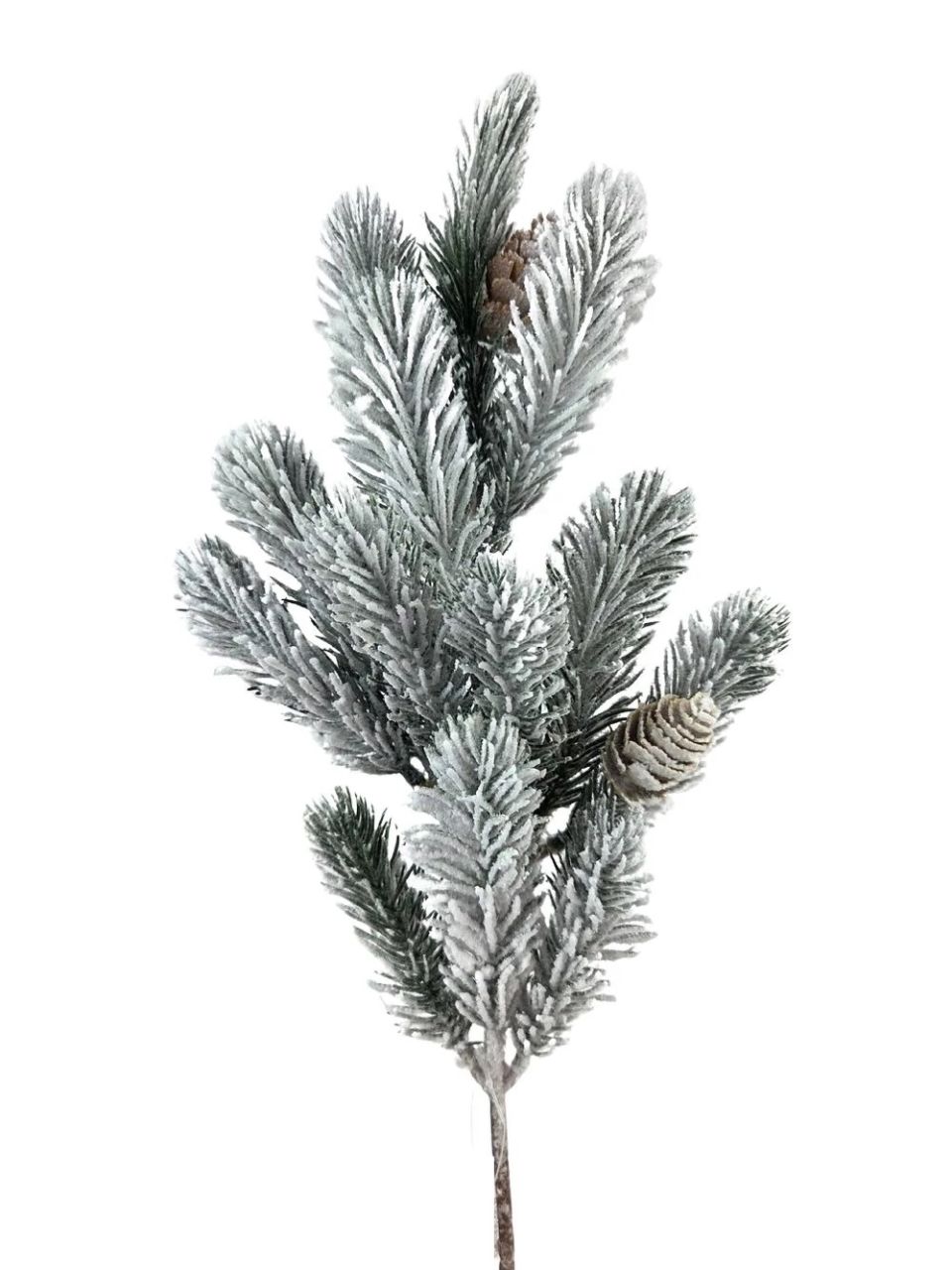 Havas fenyőág - Közepes 45 cm
