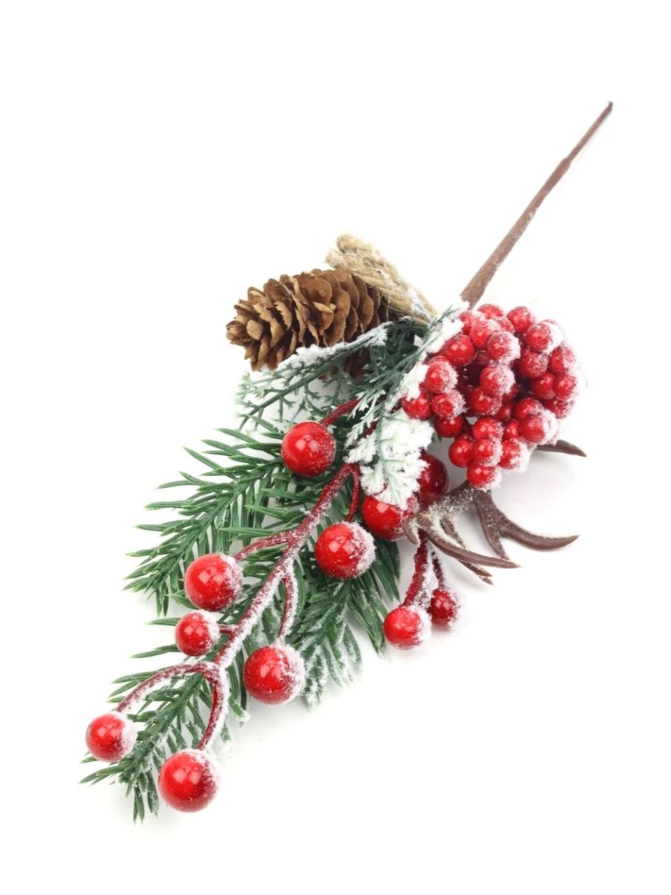 Téli pikk 65 Téli pikk 65