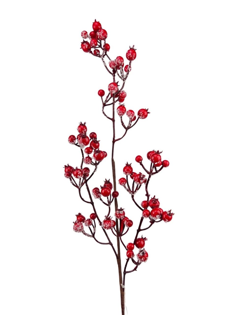 Téli ág 13 Téli ág 13