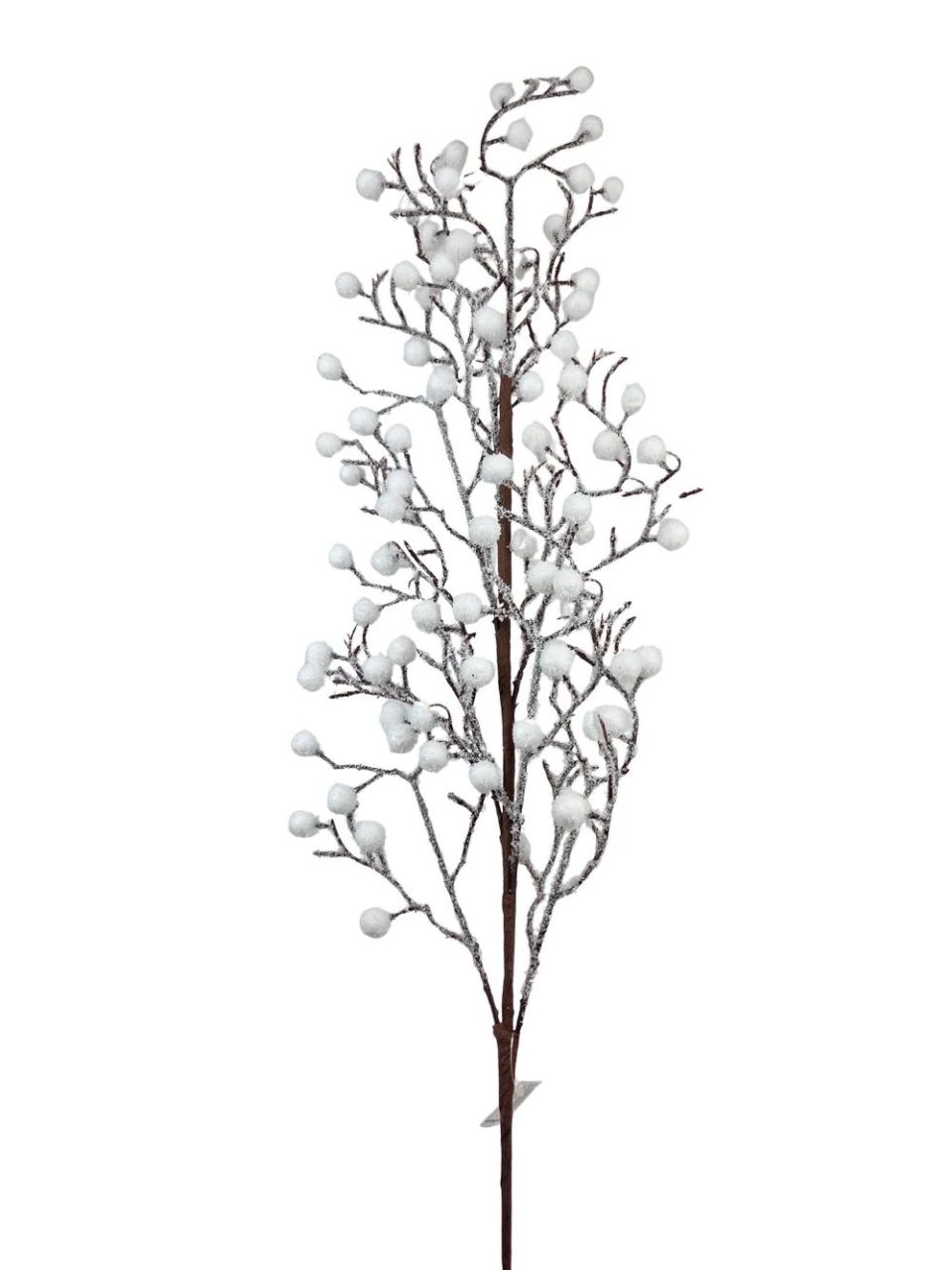 Téli ág 12 Téli ág 12