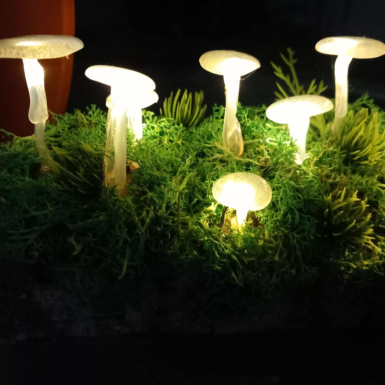 Gomba lámpás fa alapon 10 leddel Gomba lámpás fa alapon 10 leddel