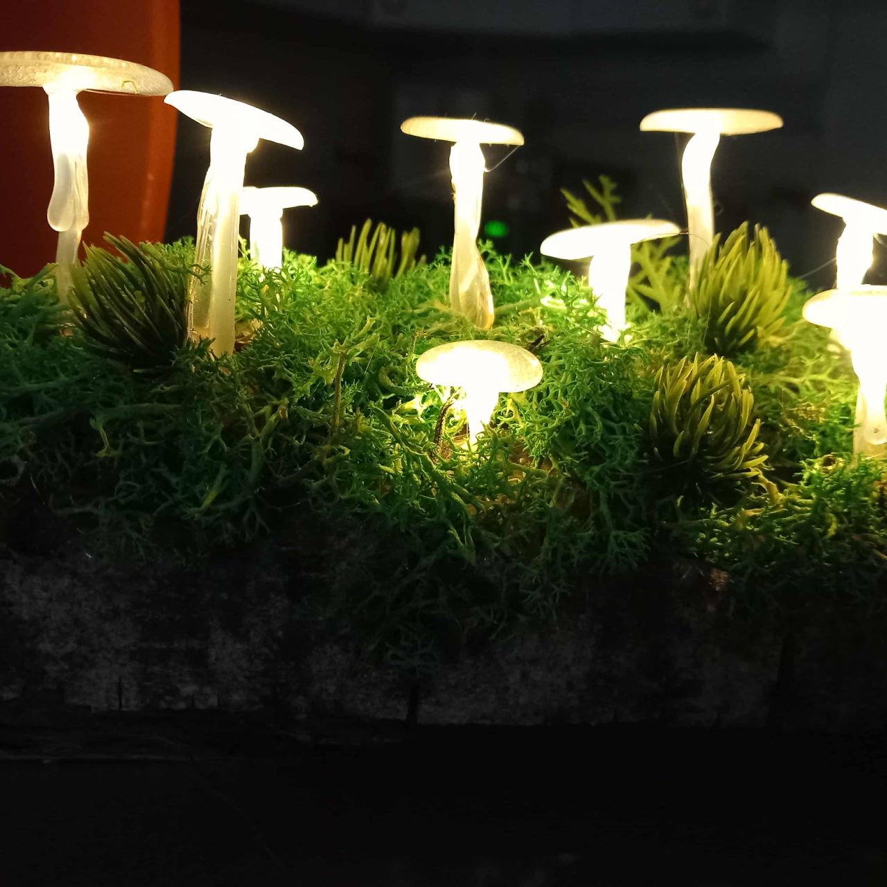 Gomba lámpás fa alapon 10 leddel Gomba lámpás fa alapon 10 leddel