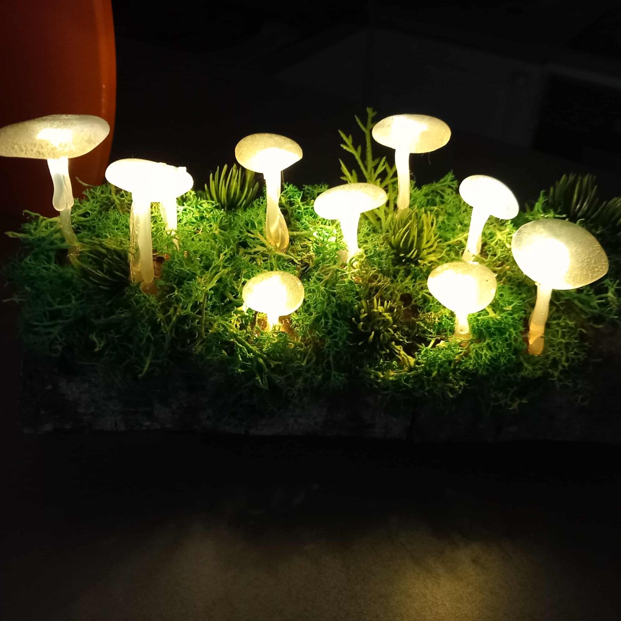 Gomba lámpás fa alapon 10 leddel Gomba lámpás fa alapon 10 leddel