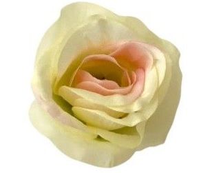 Rózsa fej félnyílt 24 db / csomag - IVPK Rózsa fej félnyílt 24 db / csomag - IVPK