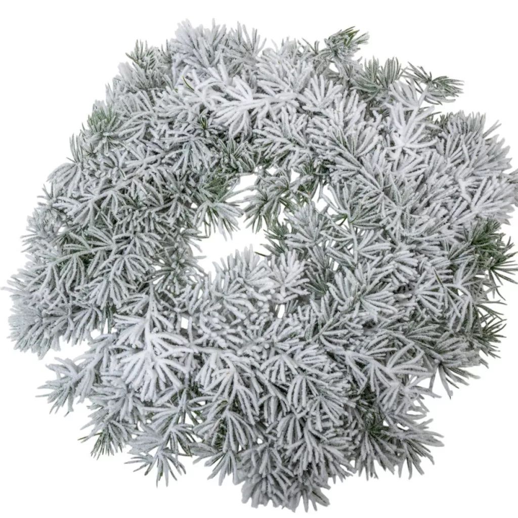 Fenyő koszorú D45cm Fenyő koszorú D45cm