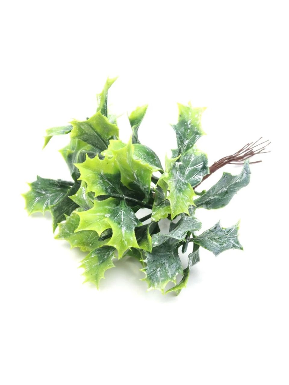 Műzöld ilex pikk Műzöld ilex pikk