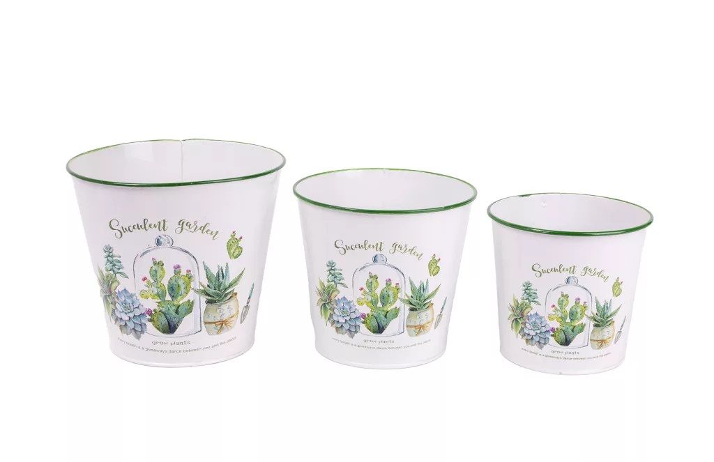 Bádog kaspó 3 darabos - 4 mintával