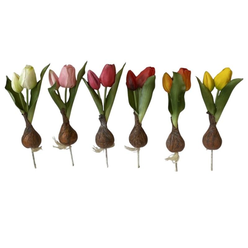 Hagymás gumi tulipán 20cm - 6 színben Hagymás gumi tulipán 20cm - 6 színben