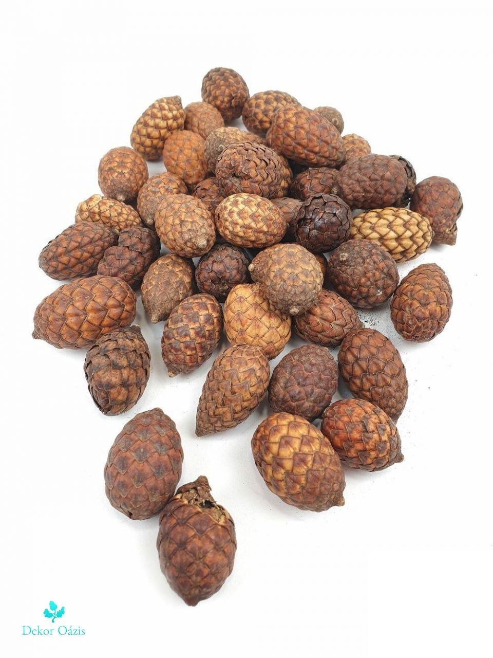 Cane fruit / pálma mag- Barna Cane fruit / pálma mag- Barna